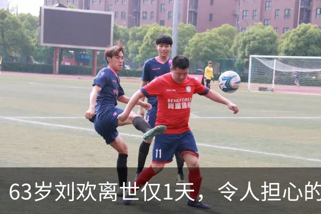 63岁刘欢离世仅1天，令人担心的事还是发生，巨额遗产分配引争议